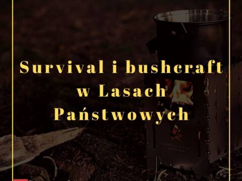 Survival i bushcraft w Lasach Państwowych